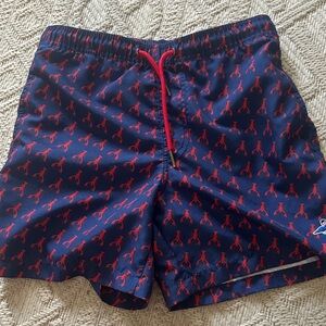 Men's Blue and Red Patterned Swim Trunks